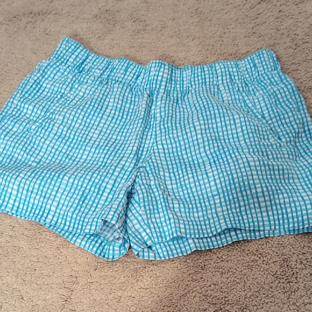 Lilly Pulitzer Blue Checkered Women's Shorts